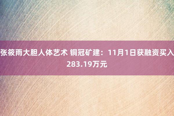 张筱雨大胆人体艺术 铜冠矿建：11月1日获融资买入283.19万元