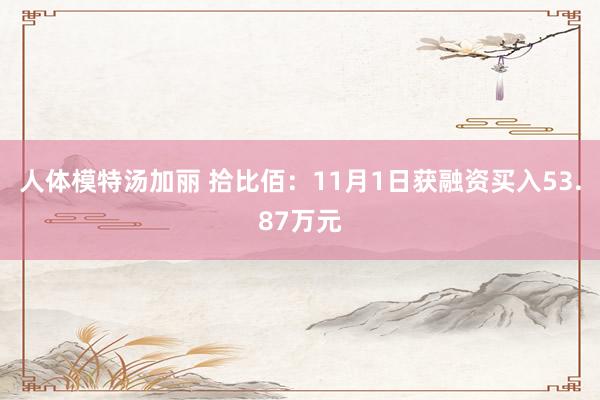 人体模特汤加丽 拾比佰：11月1日获融资买入53.87万元