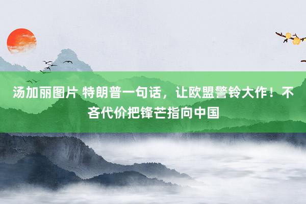 汤加丽图片 特朗普一句话，让欧盟警铃大作！不吝代价把锋芒指向中国