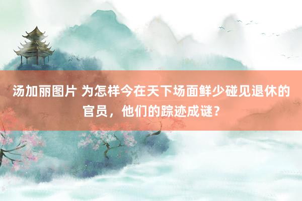 汤加丽图片 为怎样今在天下场面鲜少碰见退休的官员，他们的踪迹成谜？