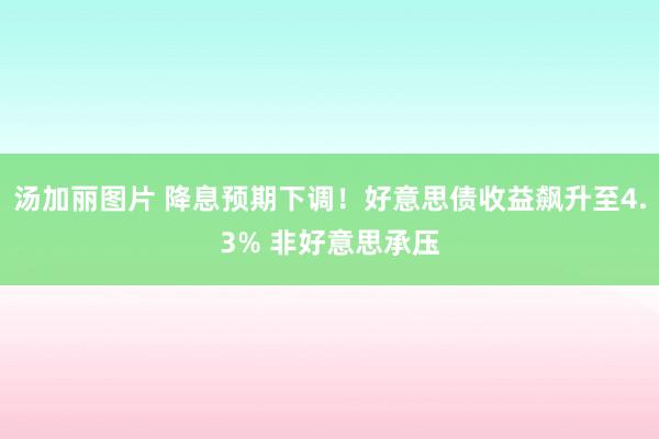 汤加丽图片 降息预期下调！好意思债收益飙升至4.3% 非好意思承压