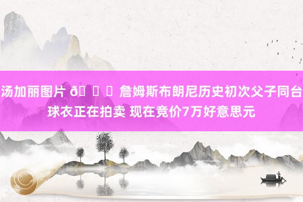 汤加丽图片 👀詹姆斯布朗尼历史初次父子同台球衣正在拍卖 现在竞价7万好意思元