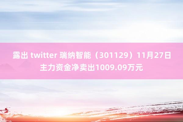 露出 twitter 瑞纳智能（301129）11月27日主力资金净卖出1009.09万元