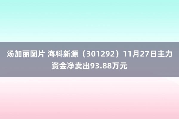 汤加丽图片 海科新源（301292）11月27日主力资金净卖出93.88万元