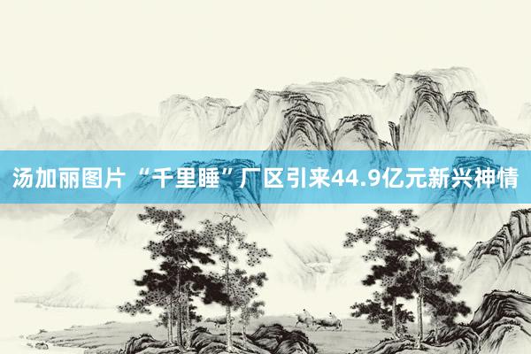 汤加丽图片 “千里睡”厂区引来44.9亿元新兴神情