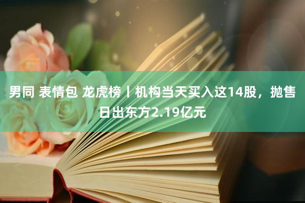 男同 表情包 龙虎榜丨机构当天买入这14股，抛售日出东方2.19亿元