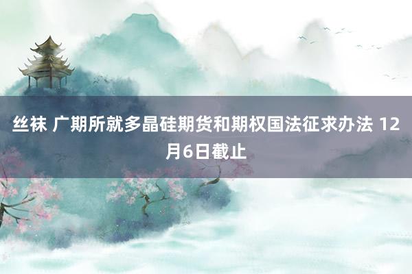 丝袜 广期所就多晶硅期货和期权国法征求办法 12月6日截止