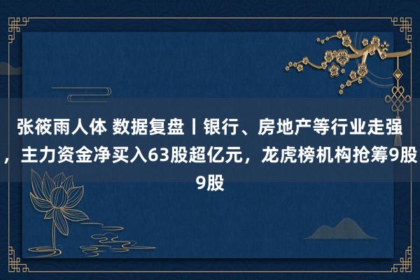 张筱雨人体 数据复盘丨银行、房地产等行业走强，主力资金净买入63股超亿元，龙虎榜机构抢筹9股