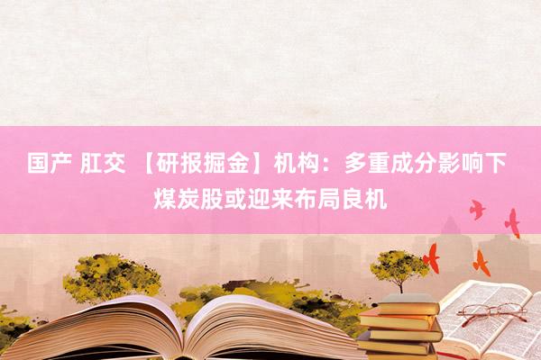 国产 肛交 【研报掘金】机构：多重成分影响下 煤炭股或迎来布局良机