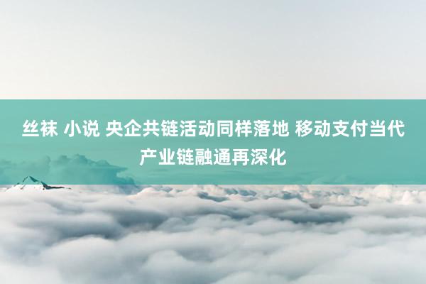 丝袜 小说 央企共链活动同样落地 移动支付当代产业链融通再深化