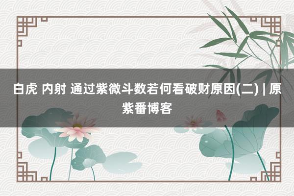 白虎 内射 通过紫微斗数若何看破财原因(二) | 原紫番博客