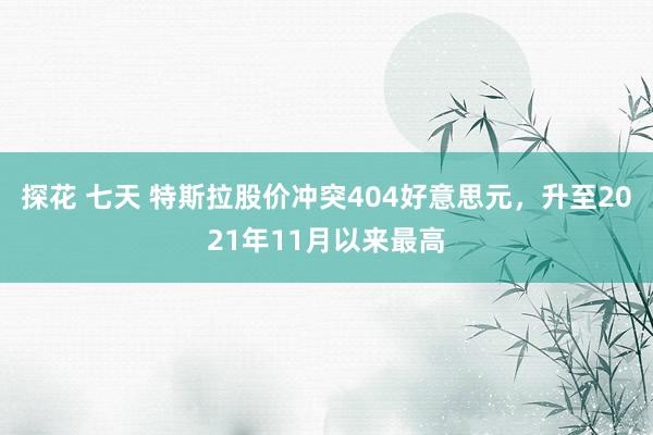 探花 七天 特斯拉股价冲突404好意思元，升至2021年11月以来最高