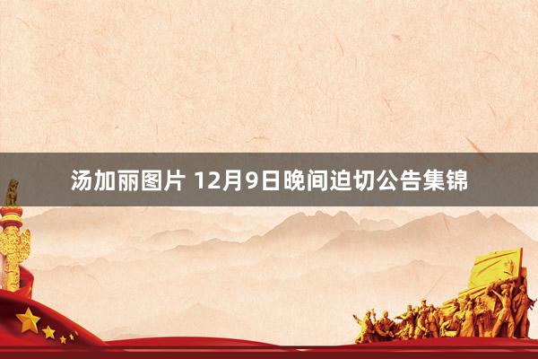 汤加丽图片 12月9日晚间迫切公告集锦