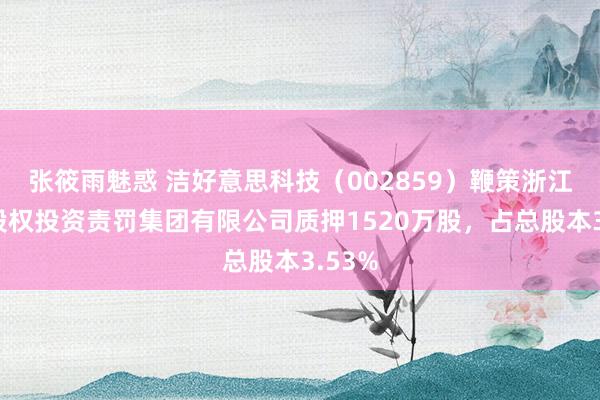 张筱雨魅惑 洁好意思科技（002859）鞭策浙江元龙股权投资责罚集团有限公司质押1520万股，占总股本3.53%