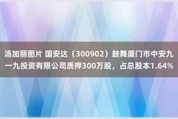 汤加丽图片 国安达（300902）鼓舞厦门市中安九一九投资有限公司质押300万股，占总股本1.64%