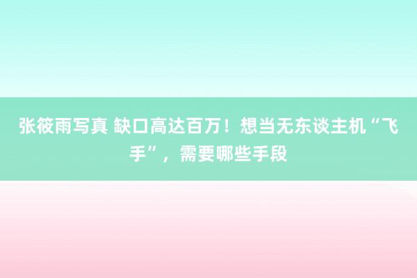 张筱雨写真 缺口高达百万！想当无东谈主机“飞手”，需要哪些手段