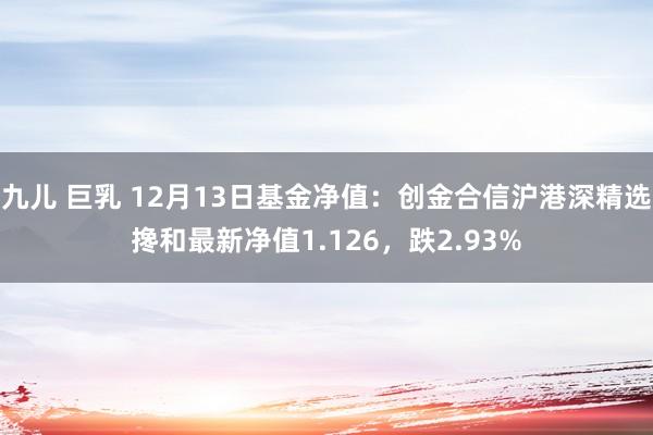 九儿 巨乳 12月13日基金净值：创金合信沪港深精选搀和最新净值1.126，跌2.93%