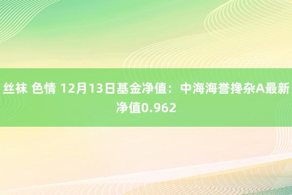 丝袜 色情 12月13日基金净值：中海海誉搀杂A最新净值0.962