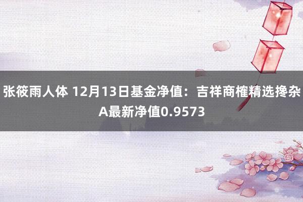 张筱雨人体 12月13日基金净值：吉祥商榷精选搀杂A最新净值0.9573