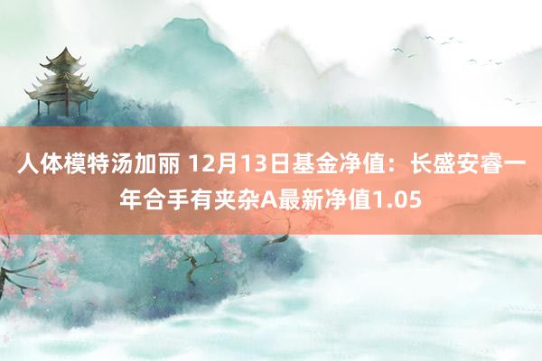 人体模特汤加丽 12月13日基金净值：长盛安睿一年合手有夹杂A最新净值1.05