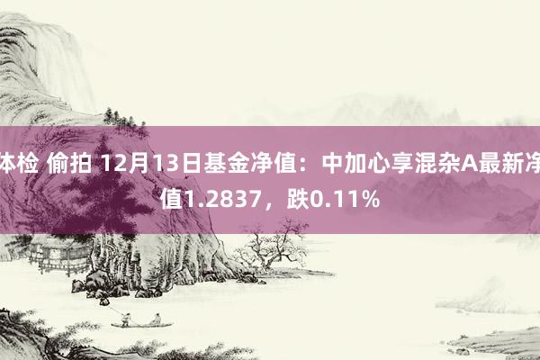 体检 偷拍 12月13日基金净值：中加心享混杂A最新净值1.2837，跌0.11%