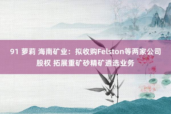 91 萝莉 海南矿业：拟收购Felston等两家公司股权 拓展重矿砂精矿遴选业务