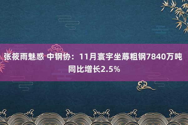 张筱雨魅惑 中钢协：11月寰宇坐蓐粗钢7840万吨 同比增长2.5%