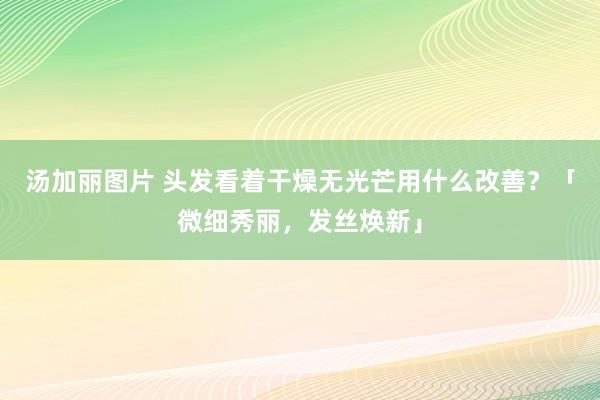 汤加丽图片 头发看着干燥无光芒用什么改善？「微细秀丽，发丝焕新」