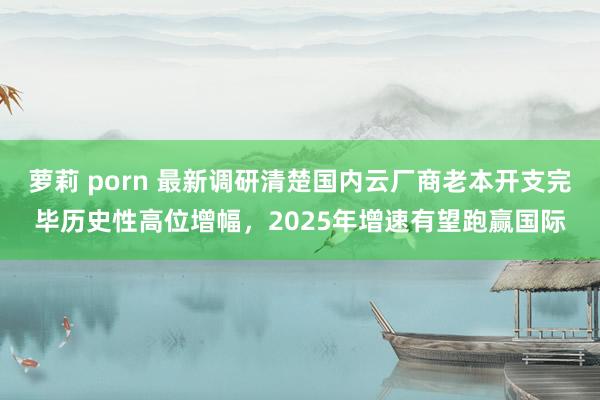 萝莉 porn 最新调研清楚国内云厂商老本开支完毕历史性高位增幅，2025年增速有望跑赢国际