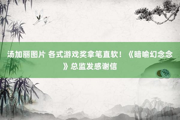 汤加丽图片 各式游戏奖拿笔直软！《暗喻幻念念》总监发感谢信