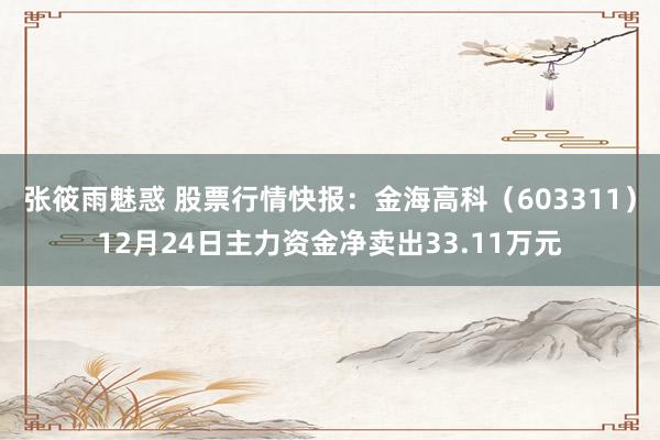 张筱雨魅惑 股票行情快报：金海高科（603311）12月24日主力资金净卖出33.11万元