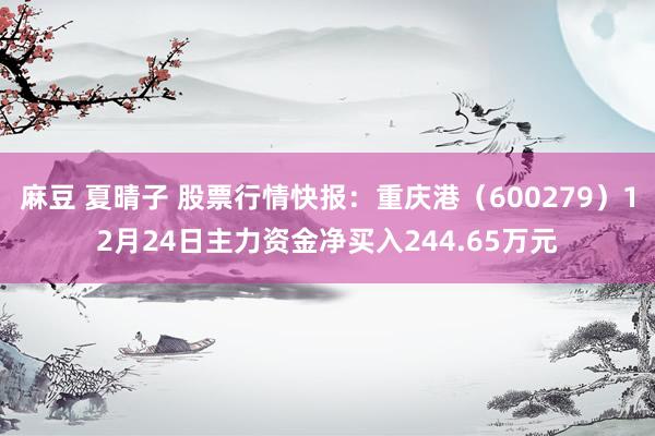 麻豆 夏晴子 股票行情快报：重庆港（600279）12月24日主力资金净买入244.65万元