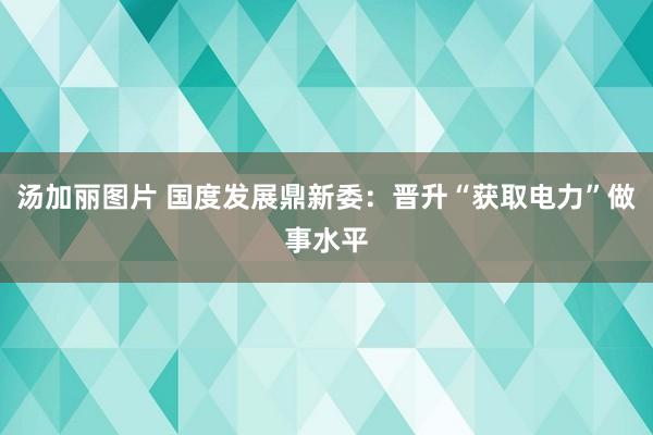 汤加丽图片 国度发展鼎新委：晋升“获取电力”做事水平