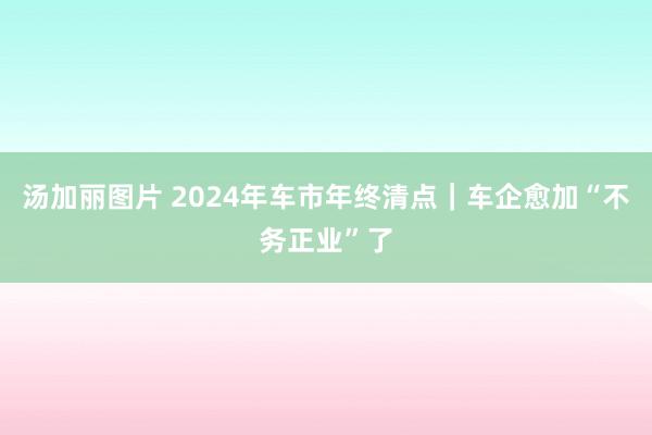 汤加丽图片 2024年车市年终清点｜车企愈加“不务正业”了