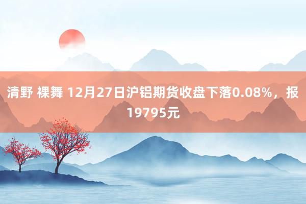 清野 裸舞 12月27日沪铝期货收盘下落0.08%，报19795元