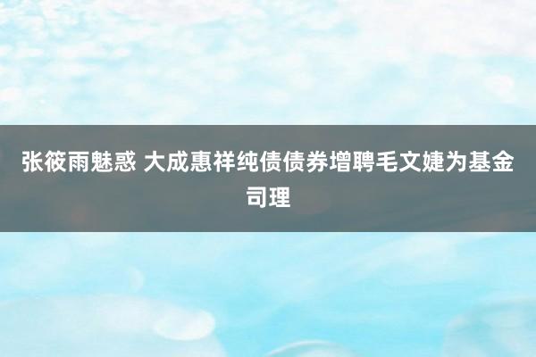 张筱雨魅惑 大成惠祥纯债债券增聘毛文婕为基金司理