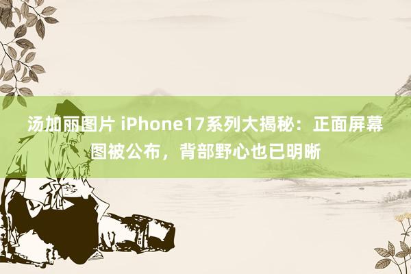 汤加丽图片 iPhone17系列大揭秘：正面屏幕图被公布，背部野心也已明晰