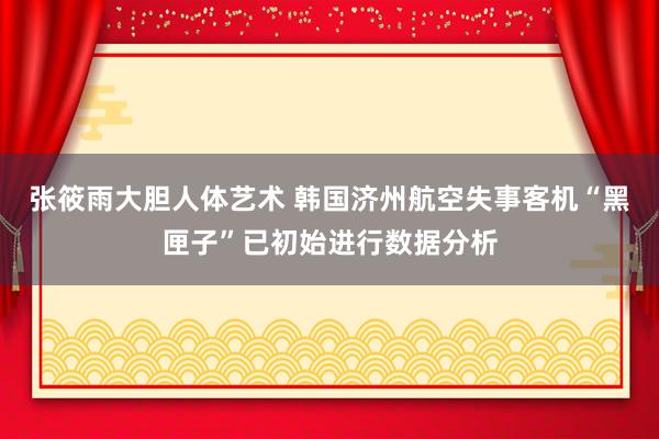 张筱雨大胆人体艺术 韩国济州航空失事客机“黑匣子”已初始进行数据分析