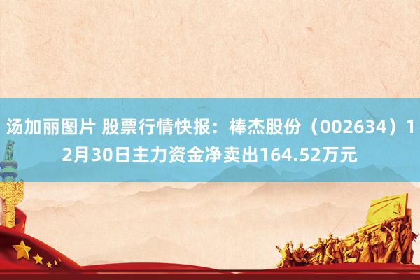 汤加丽图片 股票行情快报：棒杰股份（002634）12月30日主力资金净卖出164.52万元