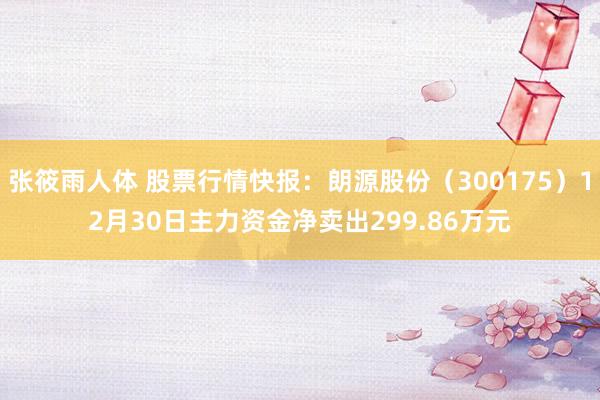 张筱雨人体 股票行情快报：朗源股份（300175）12月30日主力资金净卖出299.86万元