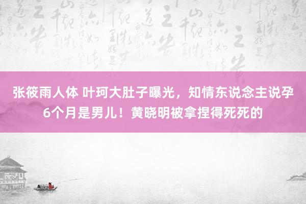 张筱雨人体 叶珂大肚子曝光，知情东说念主说孕6个月是男儿！黄晓明被拿捏得死死的