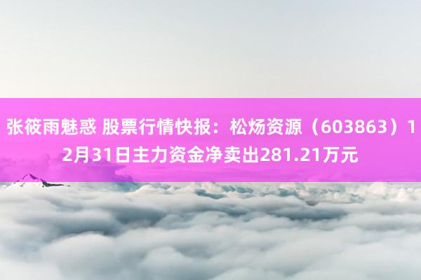 张筱雨魅惑 股票行情快报：松炀资源（603863）12月31日主力资金净卖出281.21万元