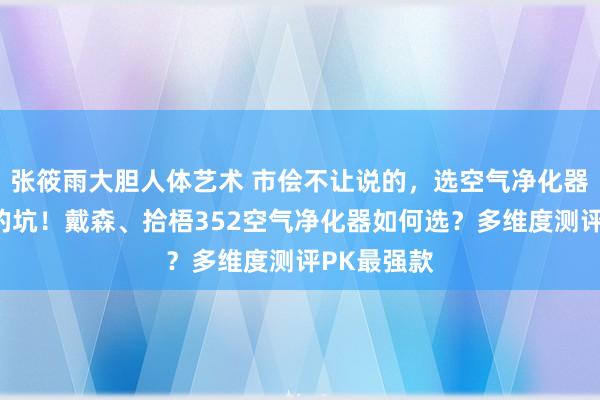 张筱雨大胆人体艺术 市侩不让说的，选空气净化器需要逃匿的坑！戴森、拾梧352空气净化器如何选？多维度测评PK最强款