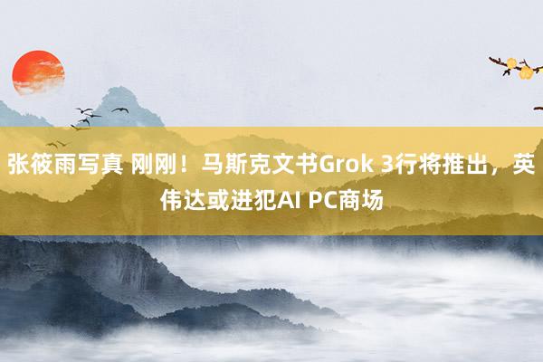 张筱雨写真 刚刚！马斯克文书Grok 3行将推出，英伟达或进犯AI PC商场