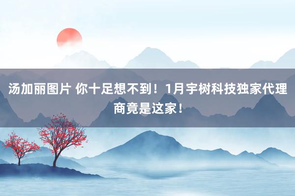 汤加丽图片 你十足想不到！1月宇树科技独家代理商竟是这家！