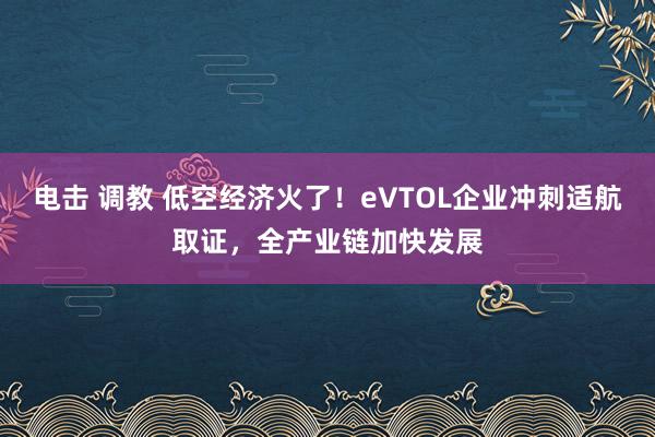 电击 调教 低空经济火了！eVTOL企业冲刺适航取证，全产业链加快发展