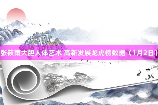 张筱雨大胆人体艺术 高新发展龙虎榜数据（1月2日）