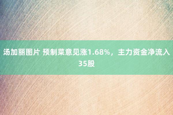 汤加丽图片 预制菜意见涨1.68%，主力资金净流入35股