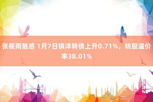 张筱雨魅惑 1月7日镇洋转债上升0.71%，转股溢价率38.01%