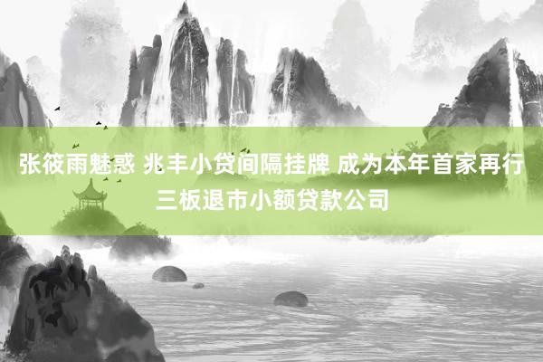 张筱雨魅惑 兆丰小贷间隔挂牌 成为本年首家再行三板退市小额贷款公司